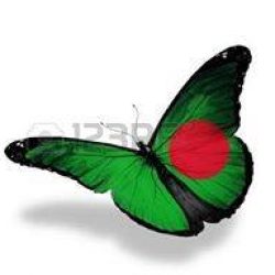 Profile picture of ইমরান