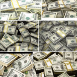 Profile picture of Rana