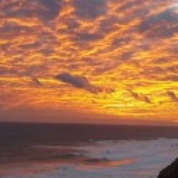 Profile picture of Craigslist