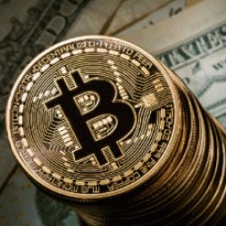 Profile picture of Hacker