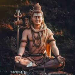 Profile picture of সুদেব বিশ্বাস