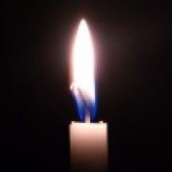 Profile picture of বিপি ক্লিন্টন