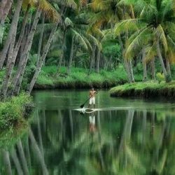 Profile picture of ফারাবি ইসলাম