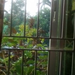 Profile picture of আব্দুল্লাহ আল মুন্নাফ