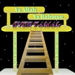 Profile picture of সৈয়দ মফিজুল ইসলাম