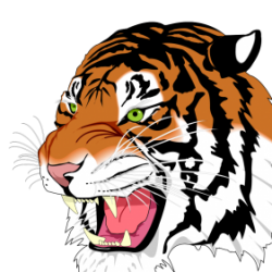 Profile picture of রাব্বি হোসেন