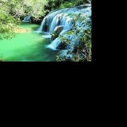 Profile picture of আমিনুল ইসলাম