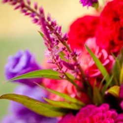 Profile picture of লায়লা আফরোজ