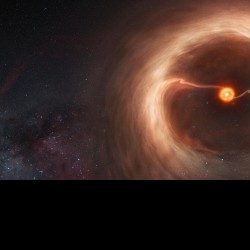 Profile picture of অরোজ আহম্মেদ