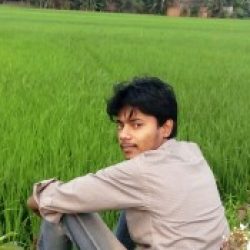 Profile picture of দীপ্ত অধিকারী