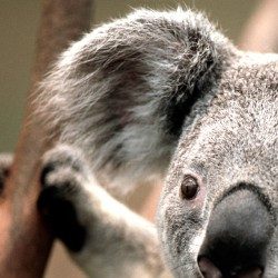 Profile picture of বাকের হাসমি