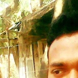 Profile picture of মোঃ কামরুল ইসলাম হাওলাদার