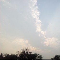 Profile picture of একদিনের মুসাফির