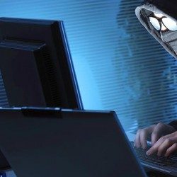 Profile picture of kamrul hassan