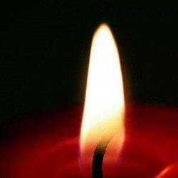 Profile picture of স্বপ্নীল আইটি