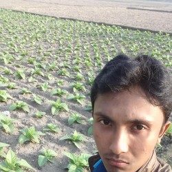 Profile picture of লিপন ইস্লাম