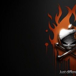 Profile picture of মোঃজাহিদ হাসান