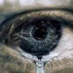 Profile picture of মো রোমান