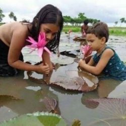 Profile picture of সিফাত বিন হুসাইন