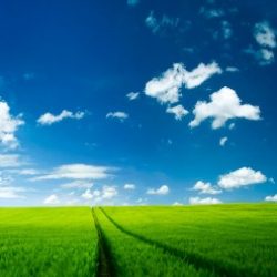 Profile picture of মোস্তাক আহমেদ