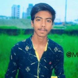 Profile picture of মোঃ মুন্না হোসেন মহা আলম