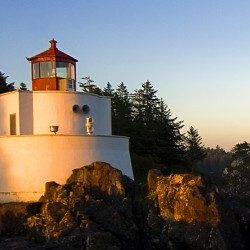 Profile picture of মোঃ হানিফ