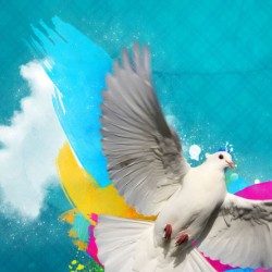 Profile picture of জনী সাহা