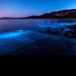 Profile picture of নীল সমূদ্র