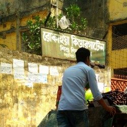 Profile picture of মেহেদী হাসান