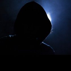 Profile picture of মিনহার মহসিন রোটেটিং রটোর