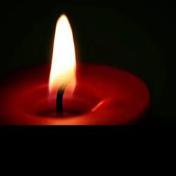 Profile picture of আলোর দিশারী