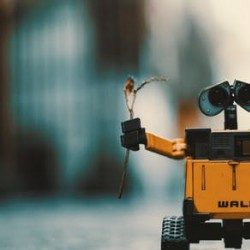 Profile picture of ইমরান হোসেন