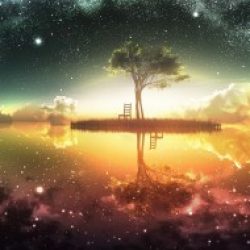 Profile picture of মোঃ শাওন