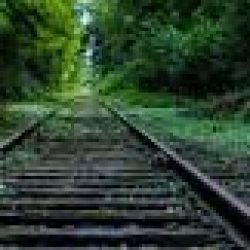 Profile picture of মাসুদ রানা