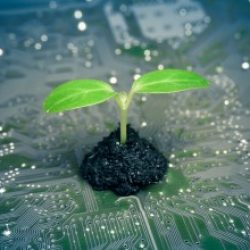 Profile picture of নাঈম সিদ্দিকী