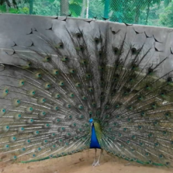 Profile picture of তৌহিদুর রহমান