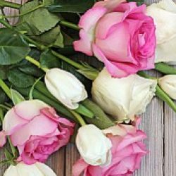 Profile picture of ফারদিন অভি