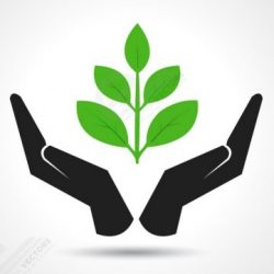 Profile picture of সুমন হোসেন