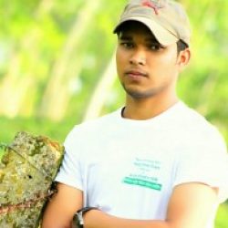 Profile picture of সোহান সরকার