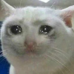 Profile picture of নাইট হাউলার