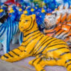 Profile picture of সোহানুুর রহমান