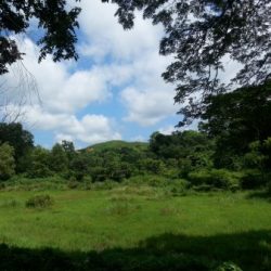 Profile picture of আয়েশা সিদ্দিকা