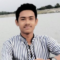 Profile picture of তারেকুল ইসলাম