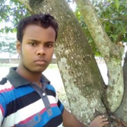Profile picture of হাফিজুল ইসলাম