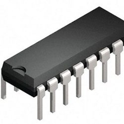 Profile picture of সায়ন মন্ডল