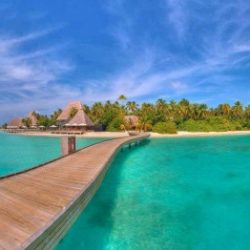 Profile picture of তালুকদার তালুক