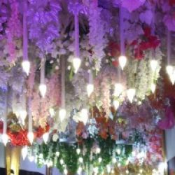 Profile picture of প্রান্তিক ঘোষ