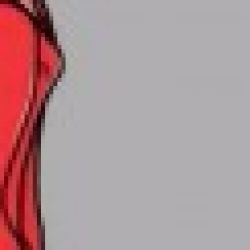 Profile picture of ফয়সাল প্রান্ত