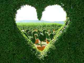 ফ্রিতে বাড়িয়ে নিন আপনার ফেসবুক পেইজের লাইক। ইচ্ছে হলে লাইক ফলো করে আয়ও করতে পারবেন।