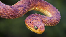 ডাউনলোড করে নিন উইন্ডোস 7 এর জন্য 15 টি অসাধারণ থিম আর সাজিয়ে তুলুন আপনার পিসি কে মনের মত করে ( না দেখলে চরম মিস )